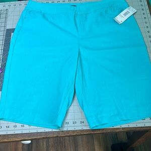 Blue Bermuda Shorts with Clean Design
